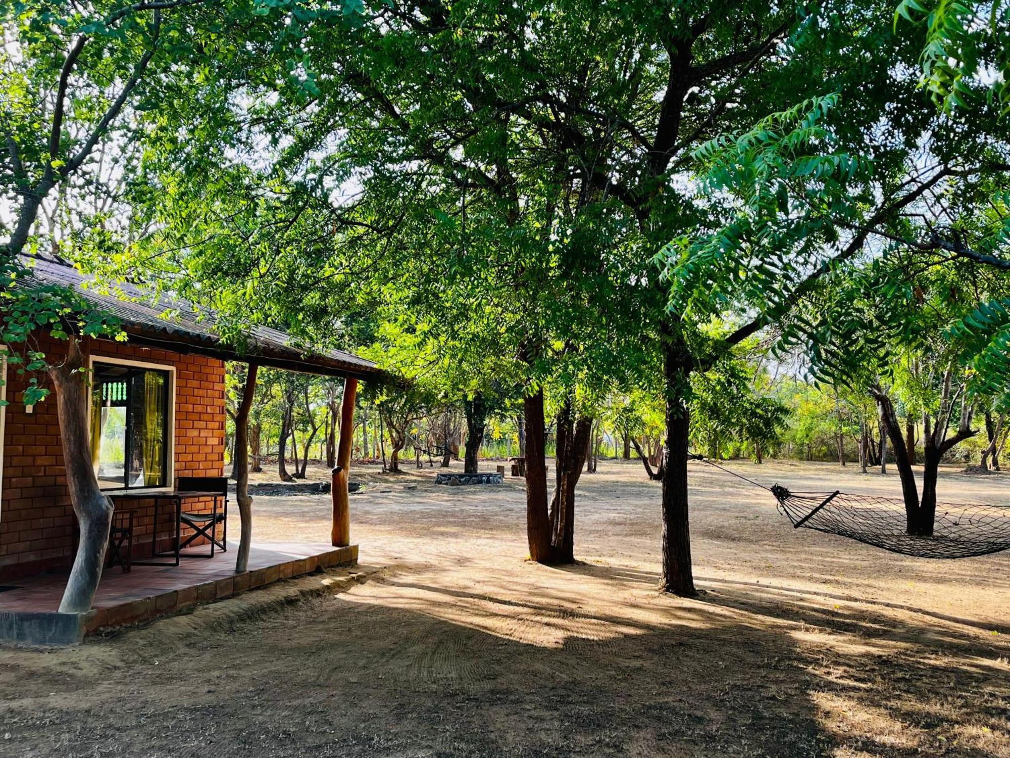 Funky Leopard Safari Lodge Bordering Yala National Park Kataragama Exterior foto